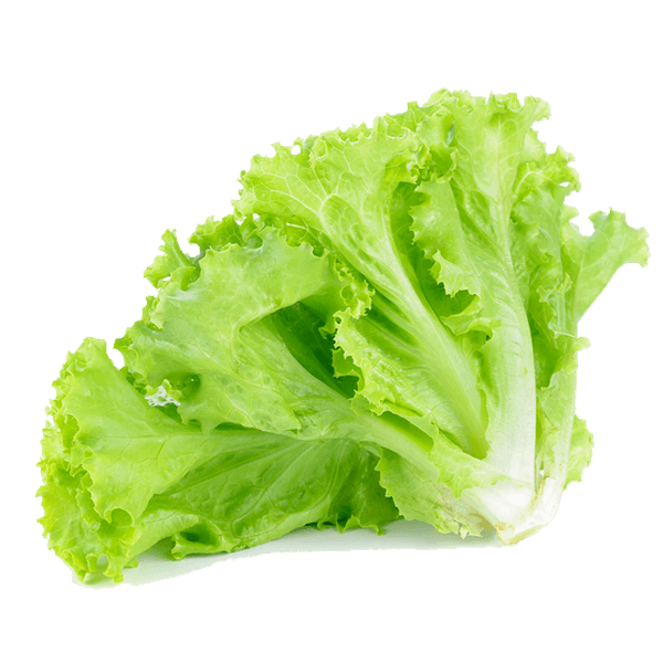 Alface