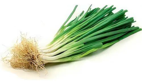 Cebolinha