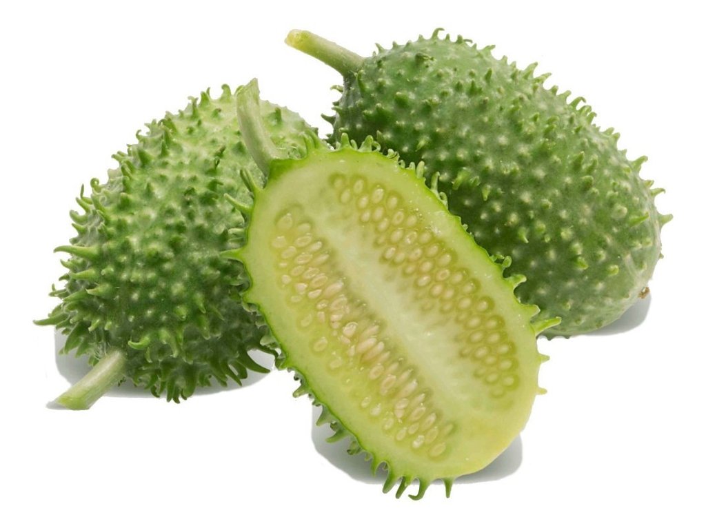 Maxixe