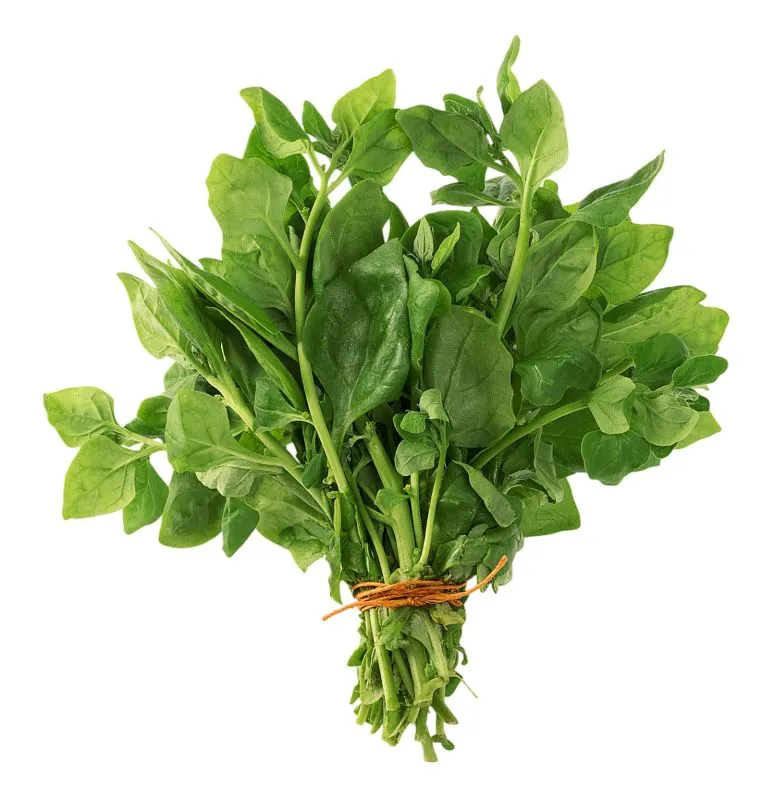 Espinafre