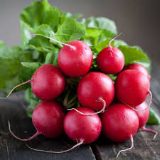 Rabanete