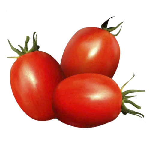 Tomate Saladete